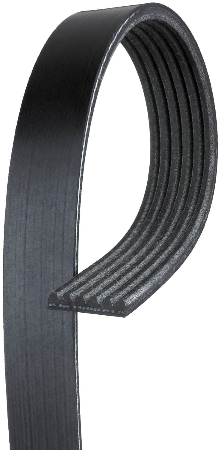 Belt C/K 89 up 6,2/6,5/ G-van  - 1010K6