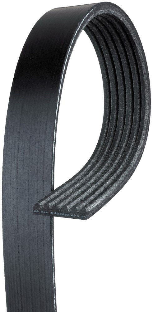 Belt - 854K6