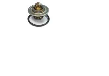 Thermostat - CHR68000800AA