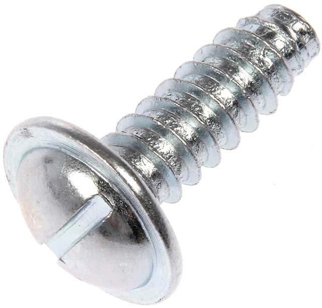 License Plate Screw 1/4in x 3/4in - DO395-012