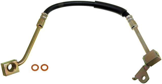 Br.hose - DOH380305