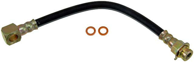 Br.hose dodge pu 76-84 fr - DOH38421