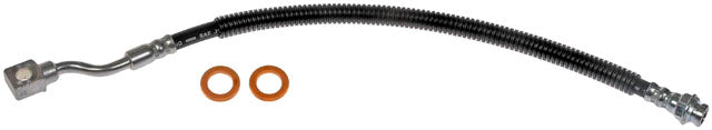 Br.Hose - DOH620043