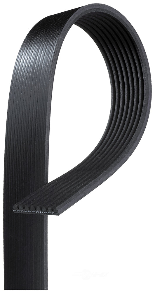 Belt 7,3td evan 98-00/pu 99-02 # - DY5081223