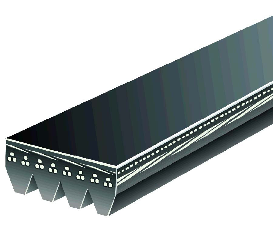 Belt AC (Stretch fit belt) GM 09-19 - K040355SF
