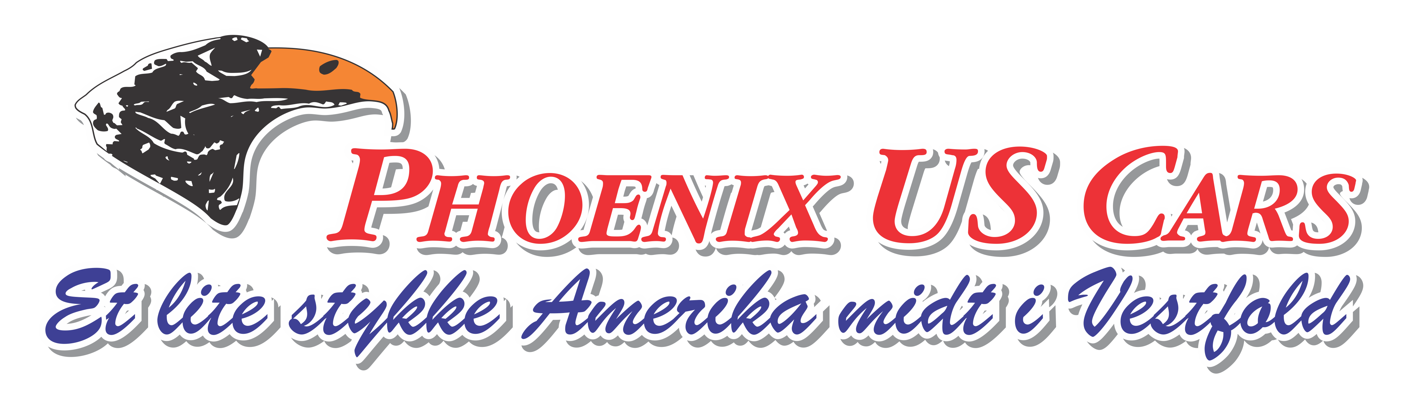 Insert Hub Cap Caprice GM14039163 Insert Hub Cap Caprice GM14039163