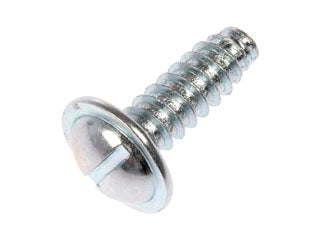 License plate bolts & nuts - MM02405