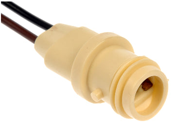 Socket lic plate - MM85880