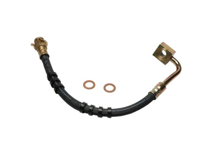 Br.hose dodge dakota 89 lh. - RAYBH38634