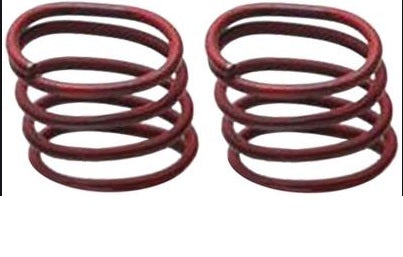 Anti rattle spring parking brake - RAYH1342