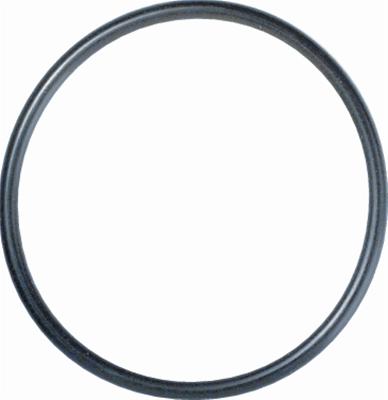Gasket Thermostat (o-ring) - STA25271