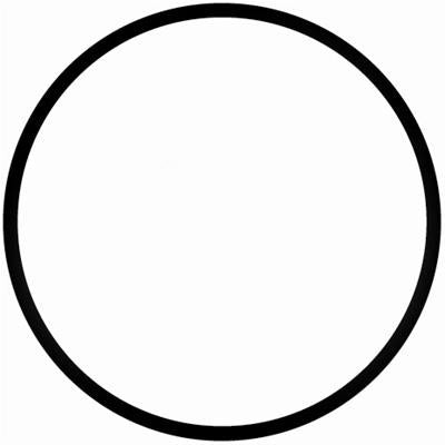 Gasket Thermostat (o-ring) - STA25289