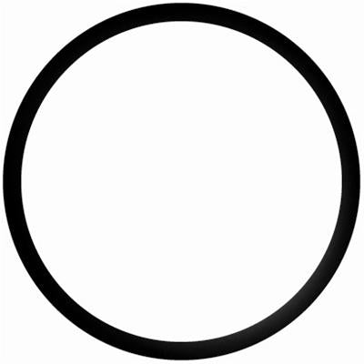 Gasket Thermostat (o-ring) - STA25290