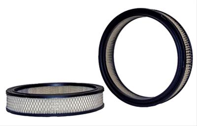 Air Filter GM L6 (a169cw) - WIX42083