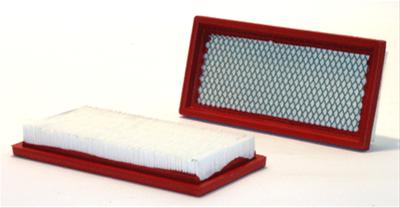 Air Filter Buick 3.0l (pga4346) - WIX46138