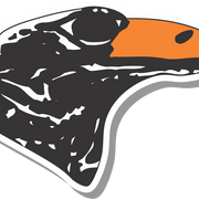PHOENIX US CARS logo